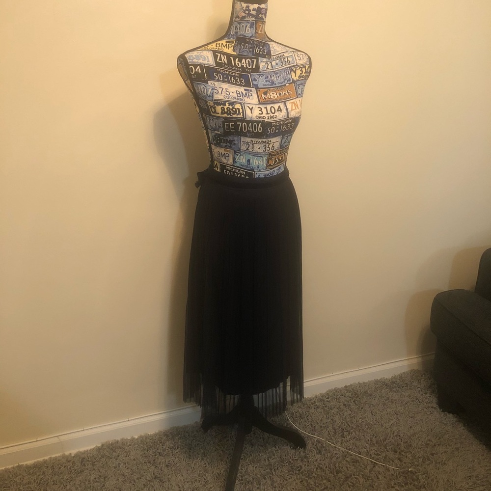 Banana Republic Tulle Skirt